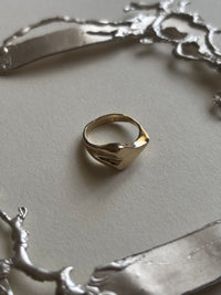 A Holding Place Ring