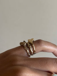 A Holding Place Ring